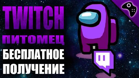 Не попадайте в стандартные рамки: выбор уникального никнейма на Twitch