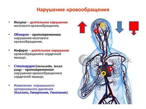 Низкое кровообращение как причина