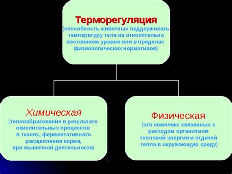 Обеспечение оптимального температурного режима: основные принципы и рекомендации