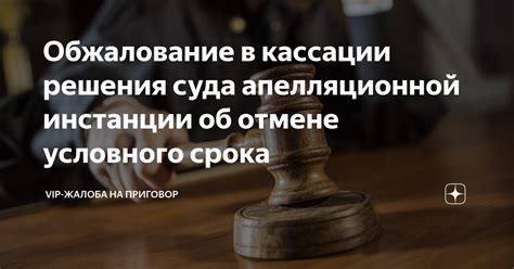 Обжалование решения в апелляционной инстанции: правовые возможности и процедура