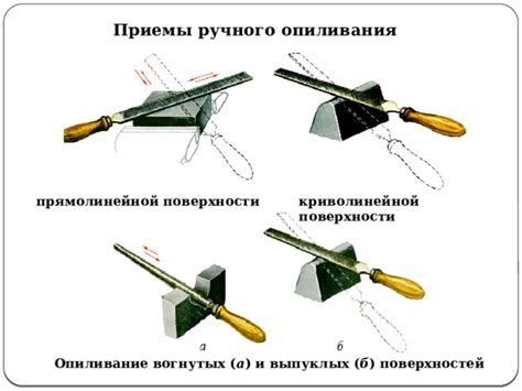 Обзор вогнутых и выпуклых лопаток: основные аспекты проверки и их значения