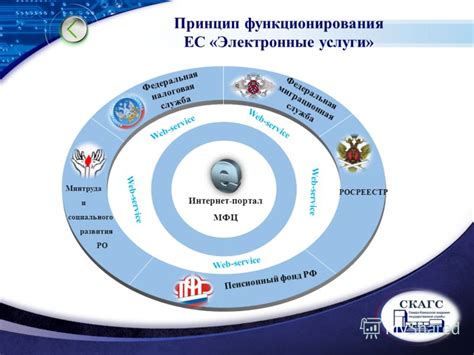 Обзор возможностей и принцип функционирования предоставляемой услуги