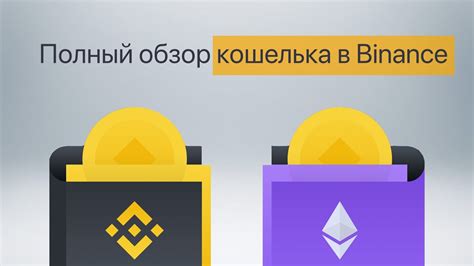 Обзор основных характеристик кошелька Binance USDT