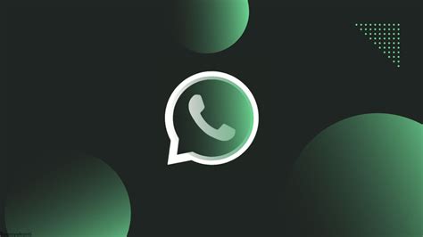 Обзор функционала быстрых ответов в WhatsApp