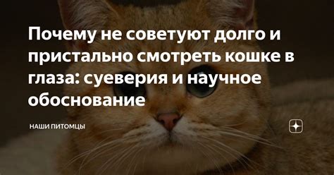 Обоснование: почему аккредитивы не являются одним из них