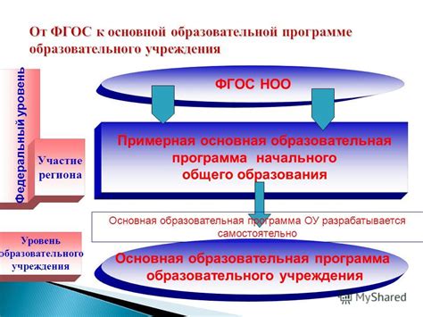 Образовательная программа и уровень образования