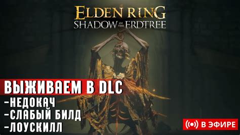 Обращение к сообществу игроков для содействия в поиске Александра Elden Ring