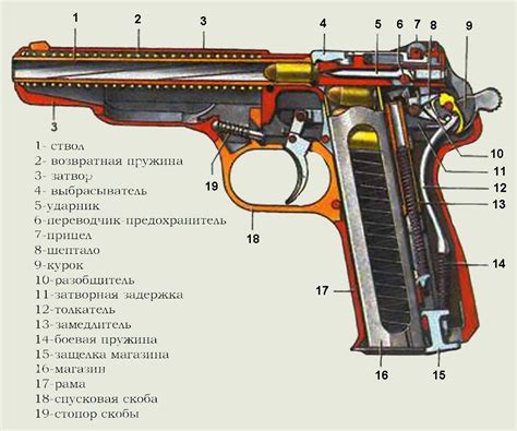 Общие характеристики гладкоствольного и нарезного оружия