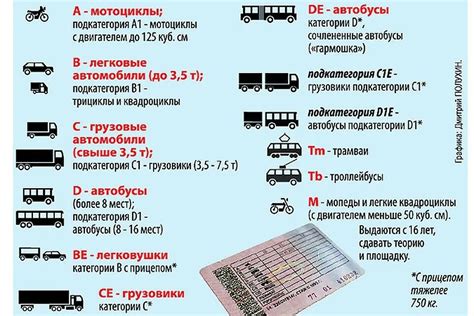 Обязанности водителя с специальной отметкой в водительском документе