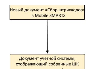 Об осмыслении информации из штрихкодов