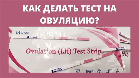 Овуляционные тесты: инструмент для точного определения