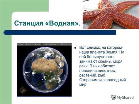 Океаны, моря и реки: особенности и распределение главных водоемов на Земле