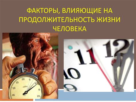 Омолаживающие практики и их воздействие на продолжительность жизни и энергетические резервы