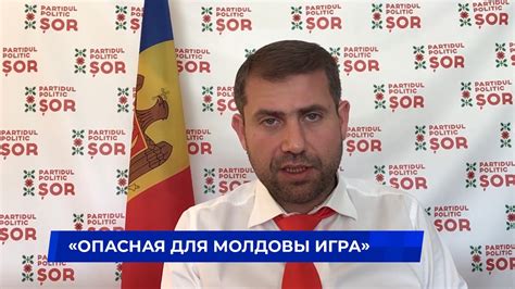 Опасная проблема: белокрылька и её угроза для огорода