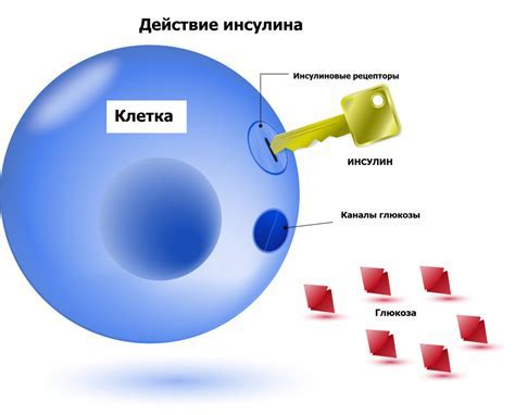 Опасности и последствия высокого уровня глюкозы в организме