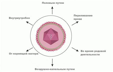 Опасность передачи вируса герпеса через поцелуй