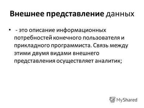 Описание внешнего вида информационных данных Индивидуального предпринимателя