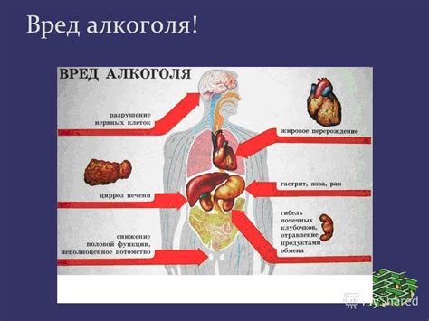 Описание механизма воздействия на организм