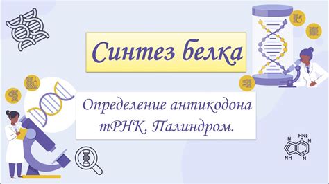 Определение важности участка трнк для целей исследования