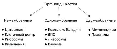 Определение и классификация флюорокарбонов