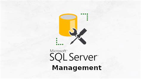 Определение и обзор SQL Server Management Studio