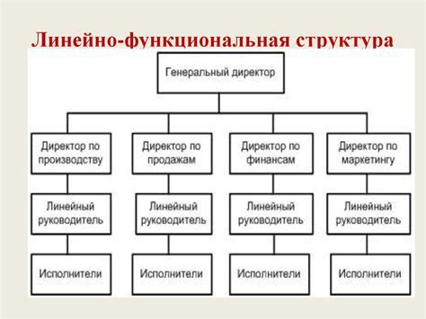 Определение и основные характеристики структуры линейно функционального типа