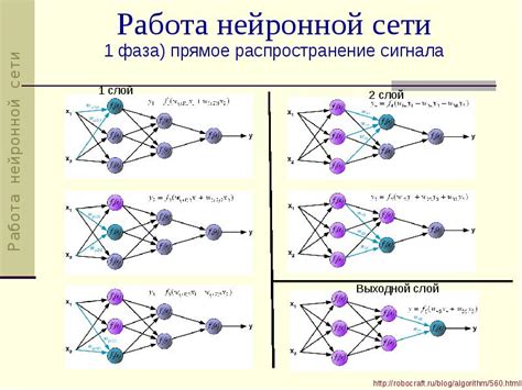 Определение и принцип работы нейронных сетей