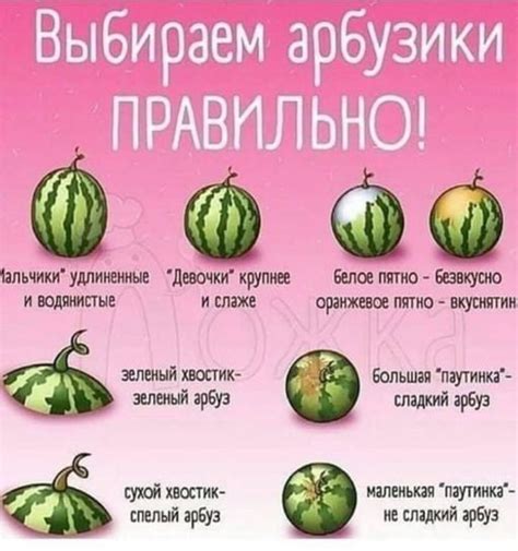 Определение массы арбуза