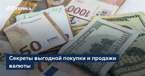 Определение наиболее выгодной валюты для покупки: методы и анализ