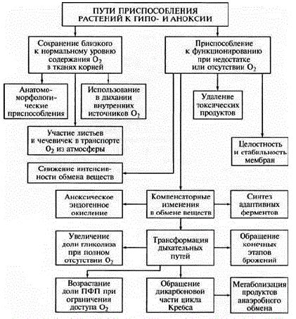 Определение неисправностей, приводящих к повышенному уровню шума