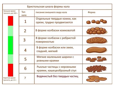 Определение нормы неперевариваемой клетчатки в кале