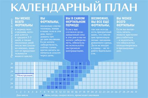 Определение оптимального момента для зачатия мальчика на основе дня овуляции