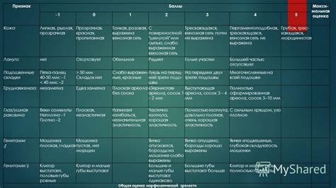 Определение оптимальной степени зрелости хурмы перед сбором