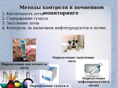 Определение содержания кислотности в почве: простые и эффективные методы