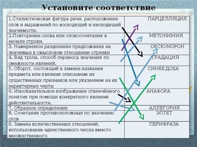 Определение спинки и ее значимость в стирке