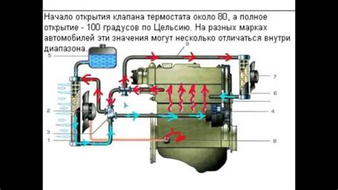 Определение уровня жидкости в системе охлаждения автомобиля VAЗ 2114