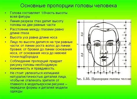 Определение формы головы: предварительные измерения и расчеты