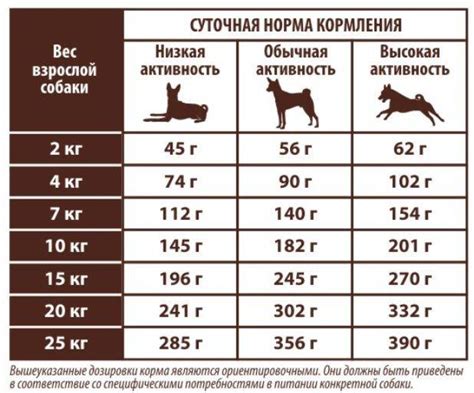 Оптимальная порция пищи: рекомендуемое количество корма для вашего верного приятеля
