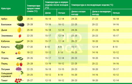 Оптимальная температура хранения квашеной капусты