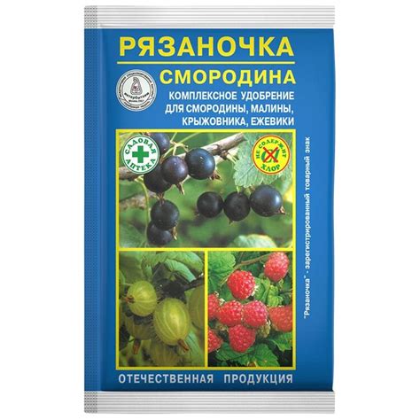 Оптимальное время для внесения питательных веществ после усечки ягодных кустов