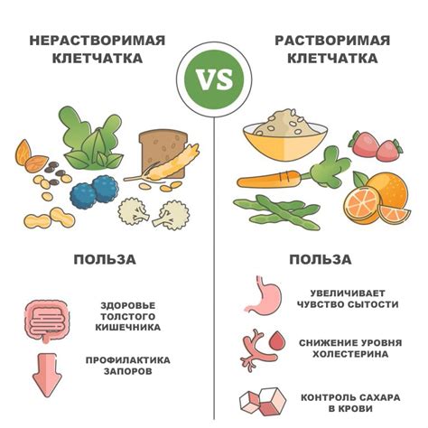 Оптимальное потребление клетчатки: наиболее полезные советы