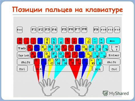 Оптимальное расположение пальцев на клавиатуре: ключ к эффективной печати