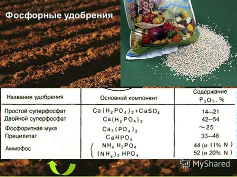 Оптимальное соотношение азота, фосфора и калия в удобрениях для обеспечения питательности почвы