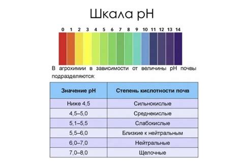 Оптимальный уровень кислотности грунта и методы его подготовки