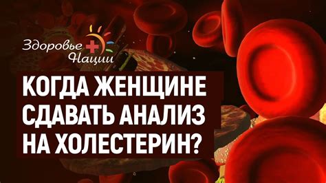 Оптимальный уровень холестерина "плохого" типа у женщин: какой он должен быть?