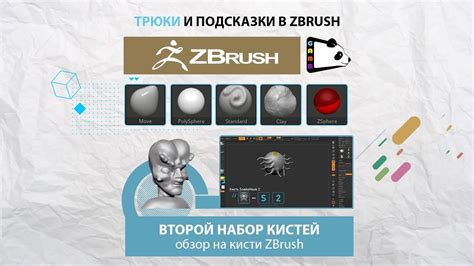 Организация кистей в программе ZBrush 2020: советы и рекомендации