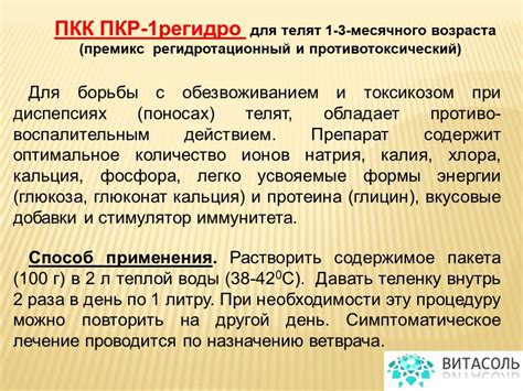 Организация правильного витамино-минерального питания молодых птиц