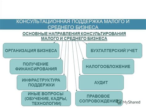 Организация финансирования и получение поддержки государства