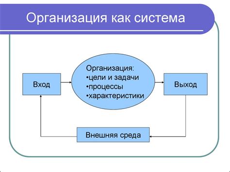 Организация цельной системы