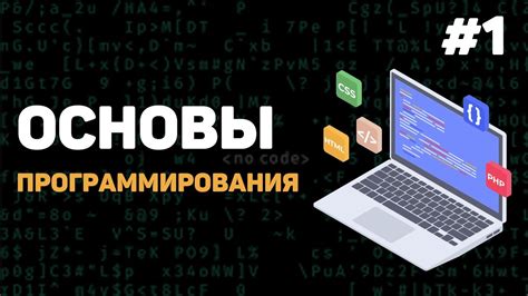 Организуйте свой распорядок для ежедневного освоения программирования и компьютерных наук